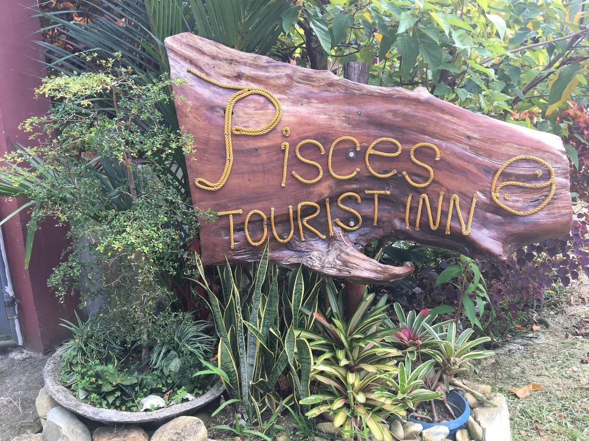 Pisces Tourist Inn - Port Barton San Vicente  Eksteriør billede